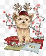 Christmas Yorkie Shirt - Dog Supply Png,Yorkie Png