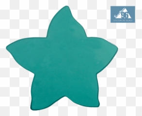 Sea Green Starfish - Pack Of 3 Manhattan Project Png,Blue Starfish Logo
