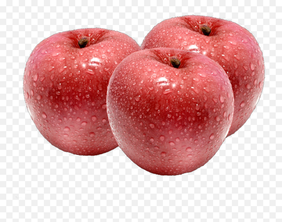 Apple Fuji Auglis - Three Apples Png Download 1024768 Apples Png,Apples Transparent Background