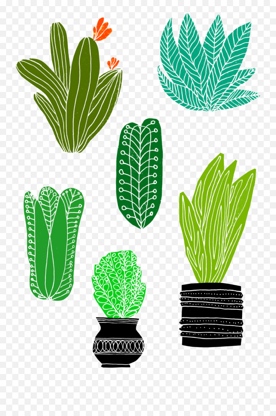 Illustration U2014 Vicky Katzman Png Potted Plants