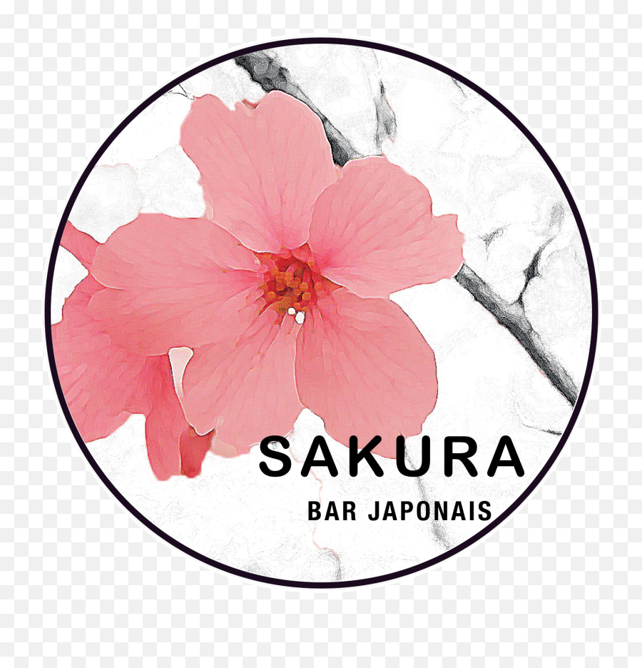 Sakura Petal Png - Sakura Sushi Bar 487799 Vippng Shoeblackplant,Sakura Petal Png