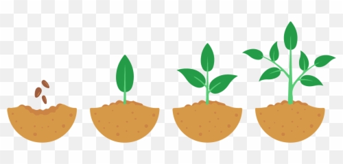 Seeds Take Time To Grow - Growing Process Of A Plant Clipart Stages png