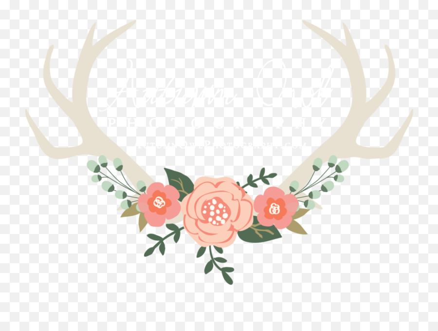 Autumn Owl Photography - Clip Art Png,Reindeer Antlers Transparent Background