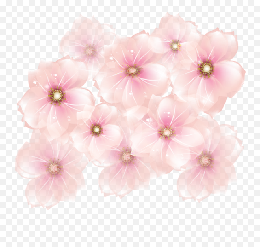 Pink Flowers Transparent Background - Pink Transparent Flower Png,Transparent Pink Flowers