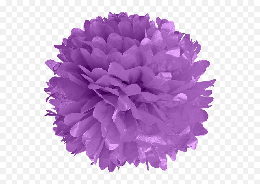 Lavender Tissue Pom Poms - Purple Pom Pom Clipart Png,Pom Poms Png