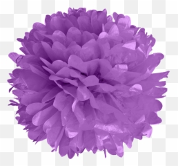 Lavender Tissue Pom Poms - Purple Pom Pom Clipart Png,Pom Poms Png