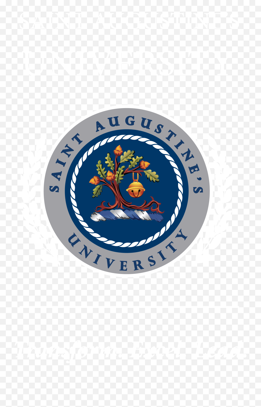 Branding Toolkit - Saint Augustineu0027s University Saint University Png,Instagram Icon For Email Signature