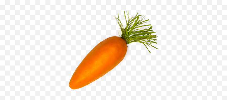 Carrot Transparent Background - Single Carrot Png,Carrot Transparent Background