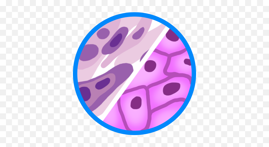 Mesothelioma Cell Types - Epithelioid Sarcomatoid And Dot Png,Cancer Cell Icon