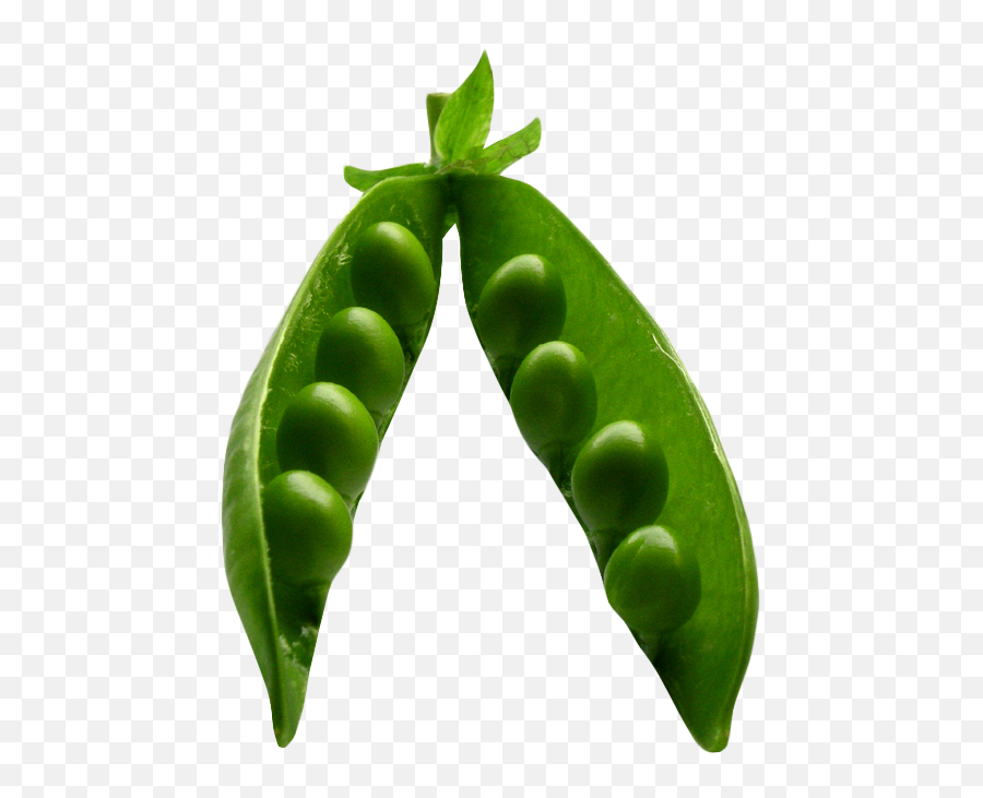 Pea Png Image For Free Download - Pea,Peas Png