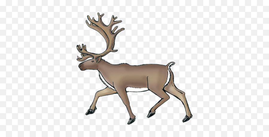 Reindeer Drawing Transparent - Transparent Background Caribou Clipart Png,Caribou Png