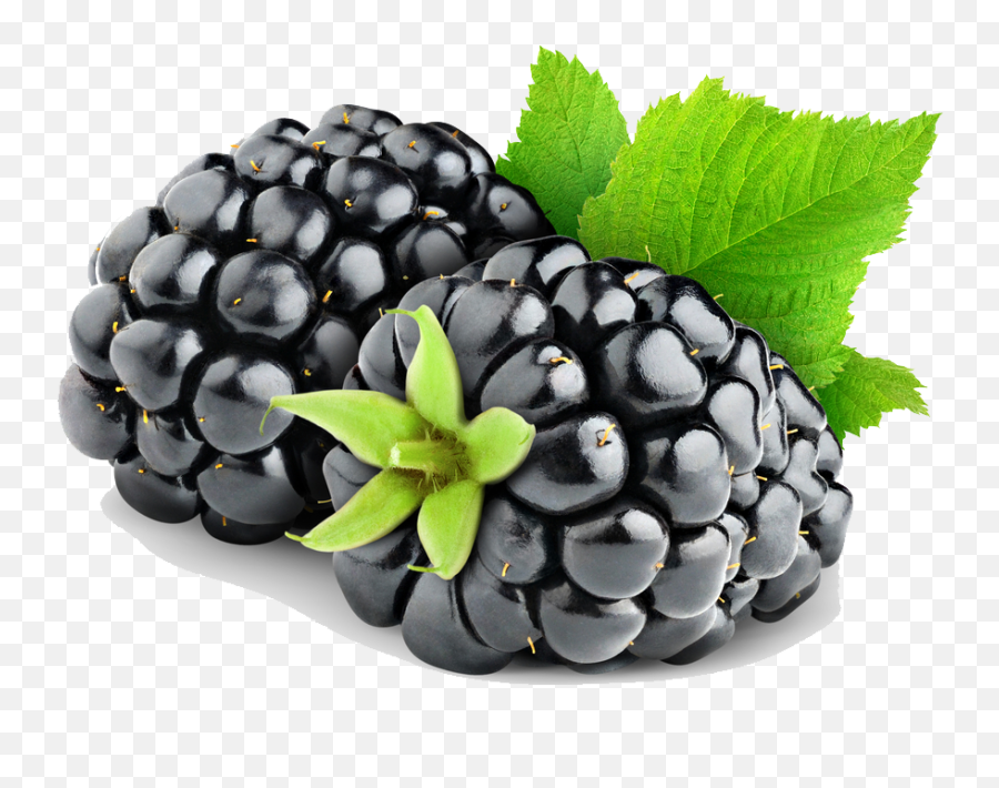 Blackberry Fruit Png Transparent Free - Png Transparent Blackberry Fruit,Fruit Png Images