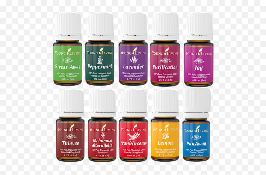 Brand Of Essential Oil Png Image - Oil,Young Living Logo Png
