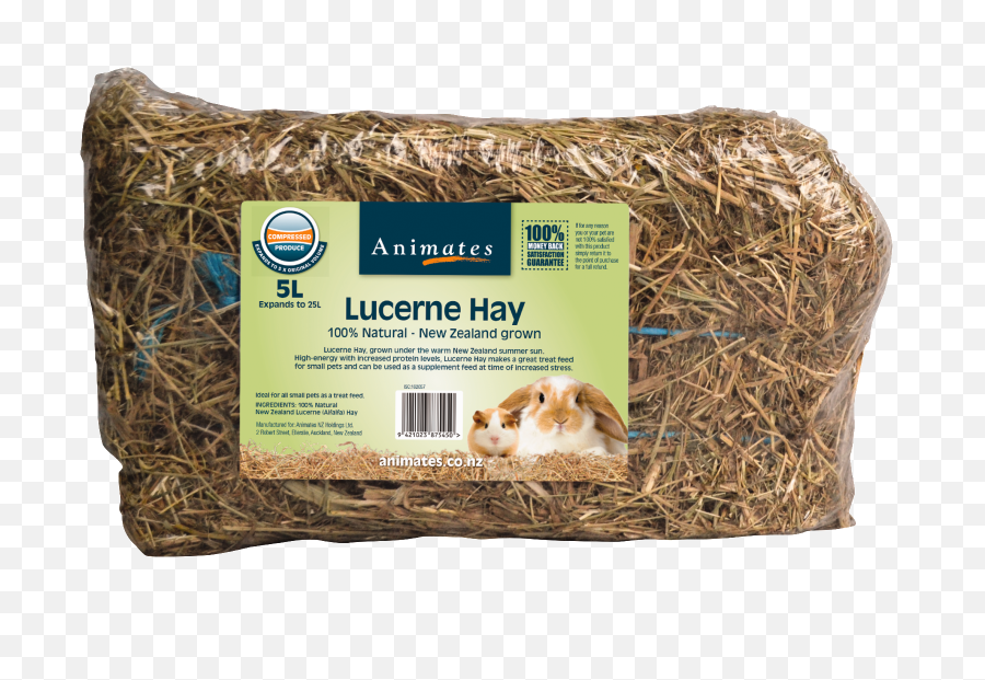 Download Pressed Hay Small Animals - Guinea Pig Png,Hay Bale Png