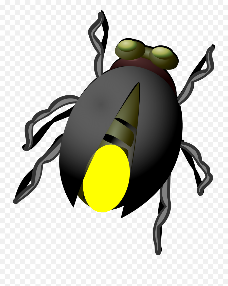 Firefly Ladybird Glowworm Fruit - Glow Worm Png,Firefly Png