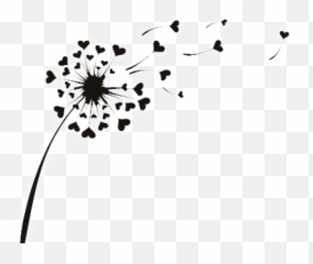 Dandelion Line Drawing Free Download Clipartmag - Clipart png
