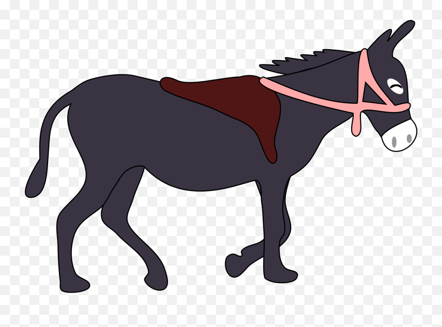 Donkey Is Smiling With A Saddle And Pink Bridle - Donkey Donkey With Saddle Clipart Png,Donkey Transparent