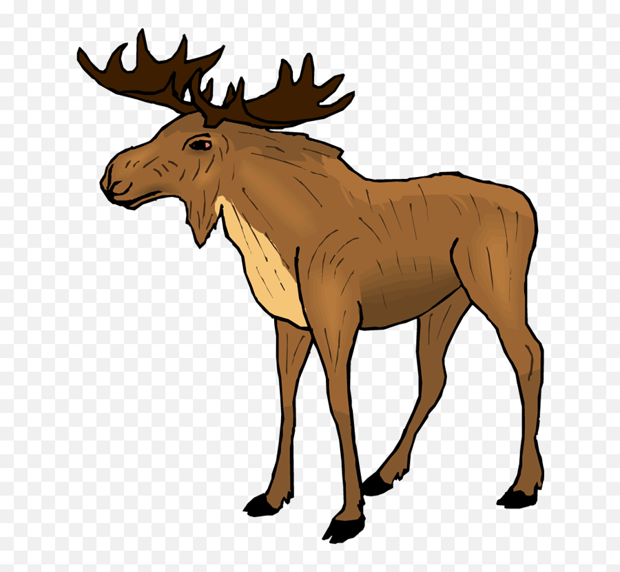 Moose Png Transparent Image - Moose Clipart Transparent,Moose Png