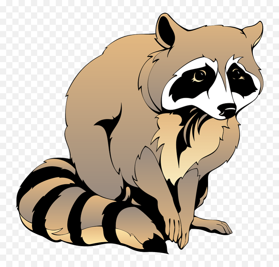 Clipart - Coloring Book Of A Raccoon Png,Raccoon Transparent