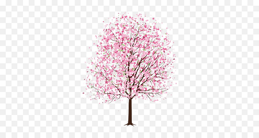 Art Tree Trees Pink Cherry Blossom - Drawing Cherry Blossom Tree Png,Transparent Trees