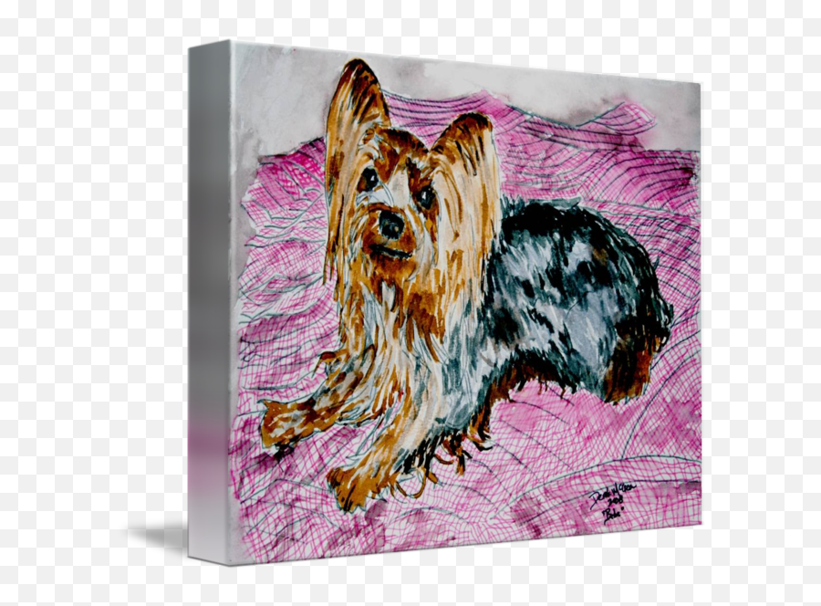 Yorkie Yorkshire Terrier Dog Art Painting By Derek Mccrea - Yorkshire Terrier Png,Yorkie Png