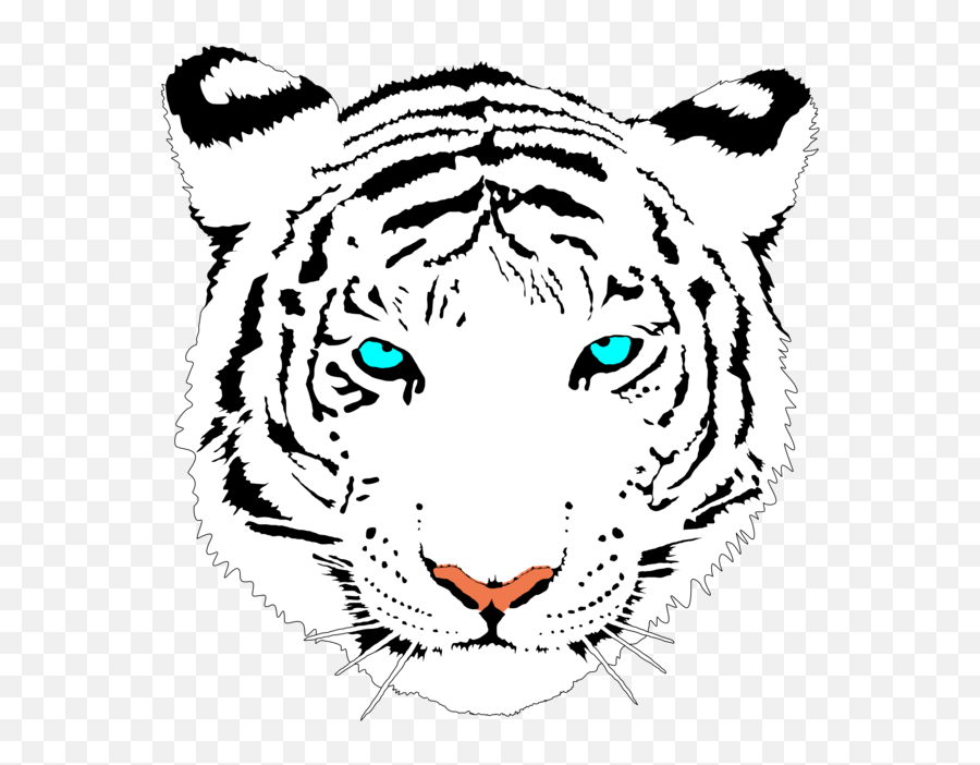 White Tiger Clipart Cute - White Bengal Tiger Clipart Png,White Tiger Png