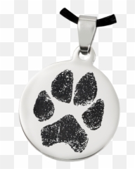Download Hd Dog Actual Paw Print Transparent Png Image