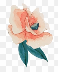 Pink Rose Watercolor - Imagen De Acuarela Rosa Png,Acuarela Png