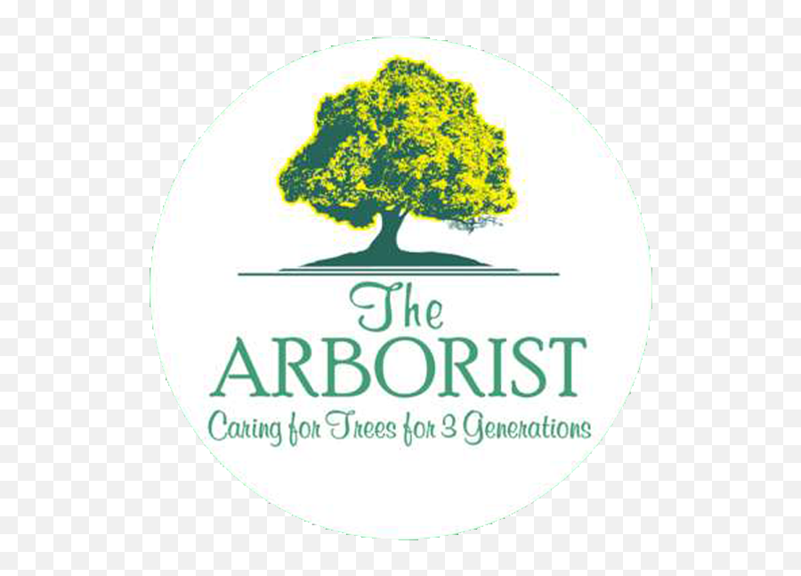 Tree Care Surrey Home The Arborist - Miami Carrollton Sacred Heart School Png,Webly Logo