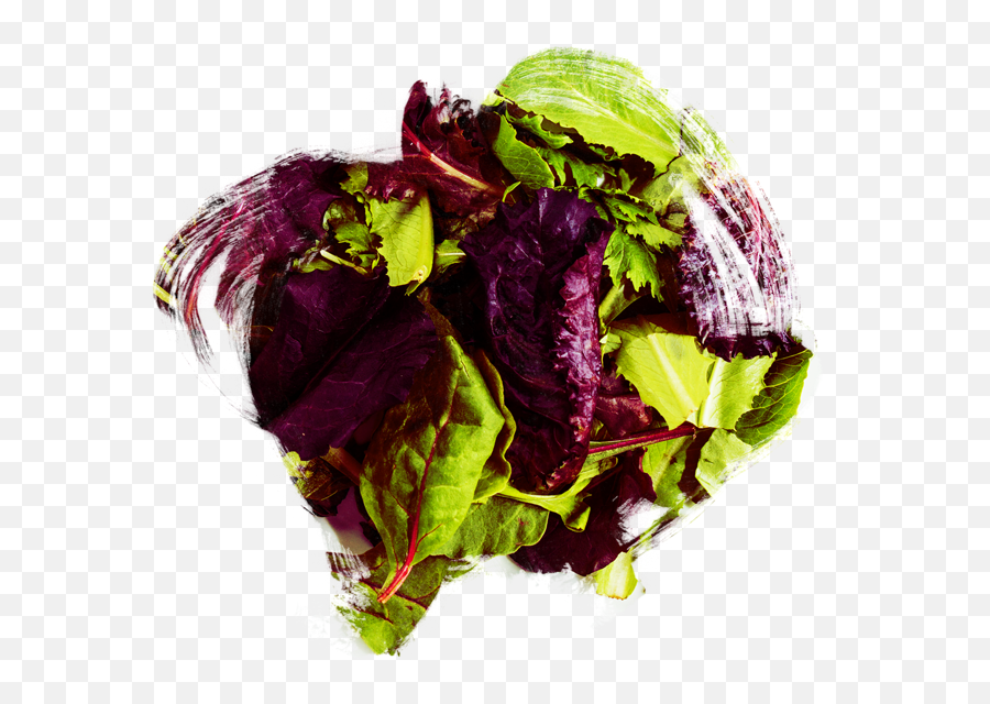Salad Bar Nole Cafe Patchogue Health U0026 Wellness - Superfood Png,Lettuce Transparent
