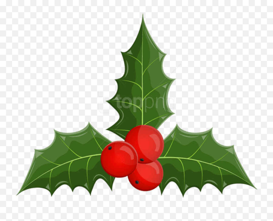 Free Png Christmas Holly Mistletoe - Clip Art Christmas Mistletoe Png Png,Mistletoe Transparent