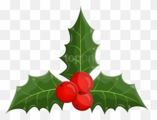Free Png Christmas Holly Mistletoe - Clip Art Christmas Mistletoe Png Png,Mistletoe Transparent