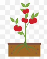 Community Gardens - Urban Harvest Cultivating Growth Flowerpot png