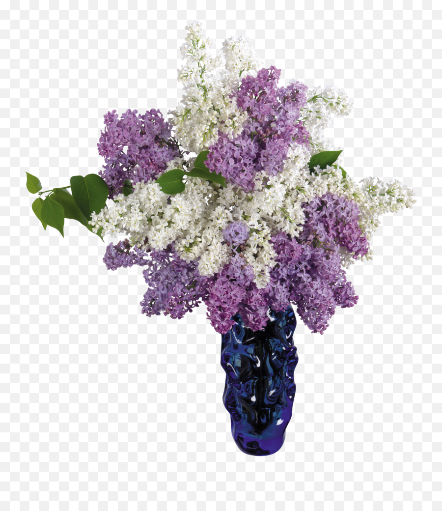 Download Vase Png Image For Free - Free Png Flower Vase,Vase Png