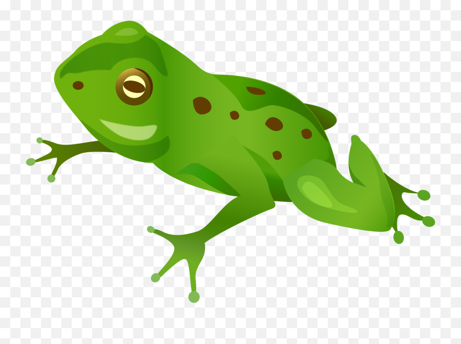 Green Frog Png - Vector Frog Png,Transparent Frog
