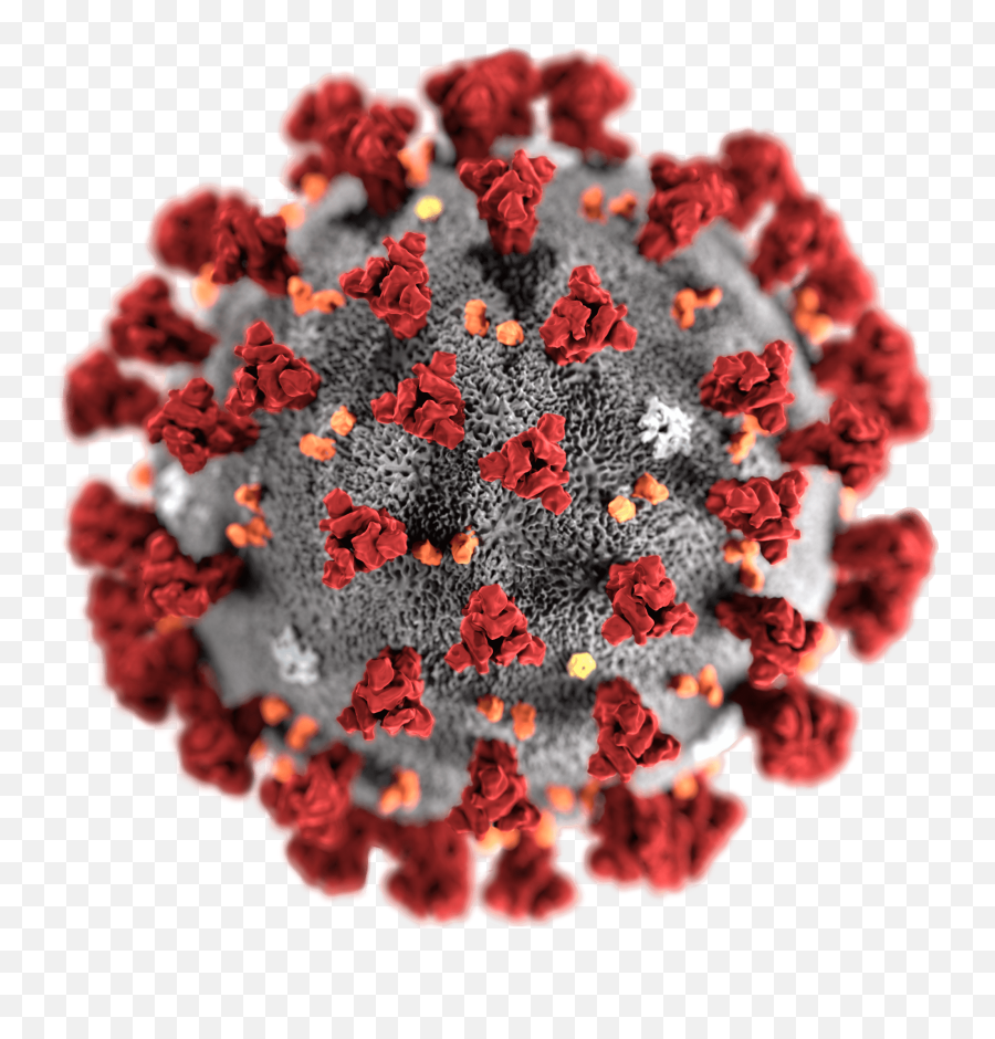 Coronavirus Png Transparent Images All - Covid 19,.png File