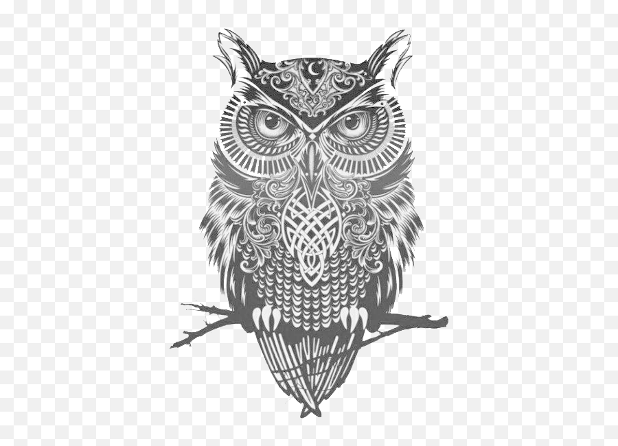 Download Owl Great Tattoo Flash Idea Horned Clipart Png Free - Black And White Drawing Owl,Wise Owl Icon