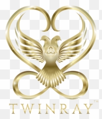Twinray Reviews - Twin Ray Png,Cosmic Christ Icon