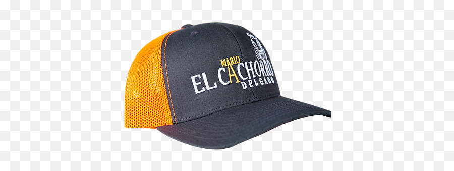 Mario El Cachorro Orange Hat Madel Store Png Icon