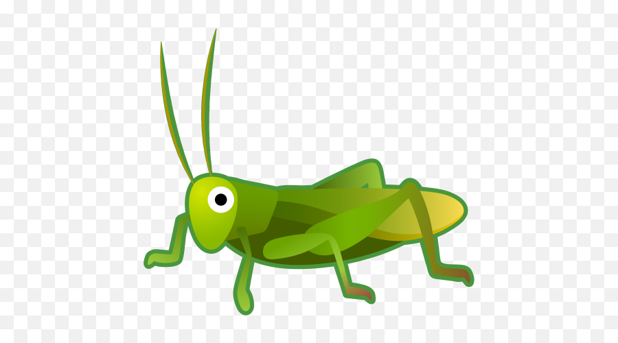 Cricket Icon Noto Emoji Animals Nature Iconset Google - Android Cricket Emoji Png,Cricket Png