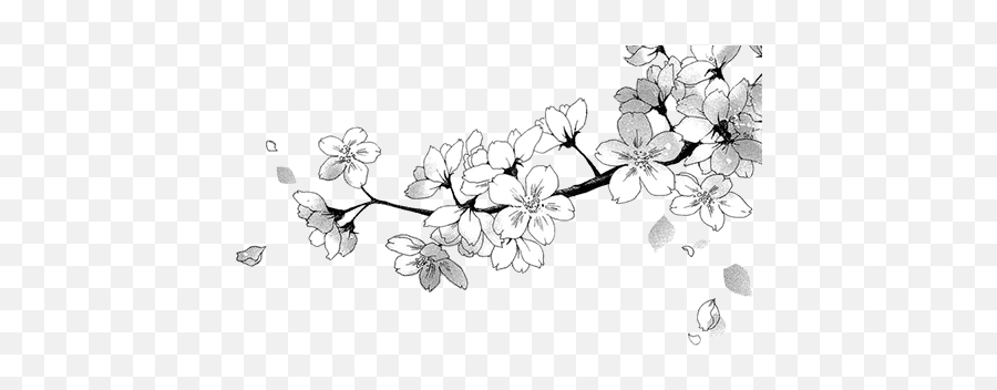 Transparent Black Hearts Tumblr - Flowers Manga Png,Black Flower Png