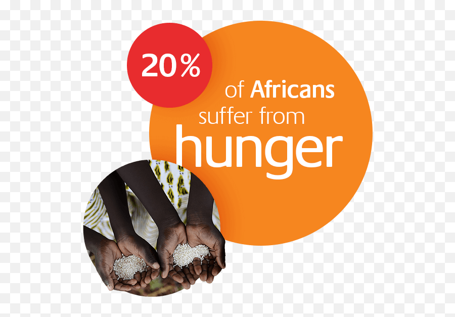 Combatting Hunger Kofi Annan Foundation Journée Mondiale Contre La Faim Png Ko - fi Logo Transparent