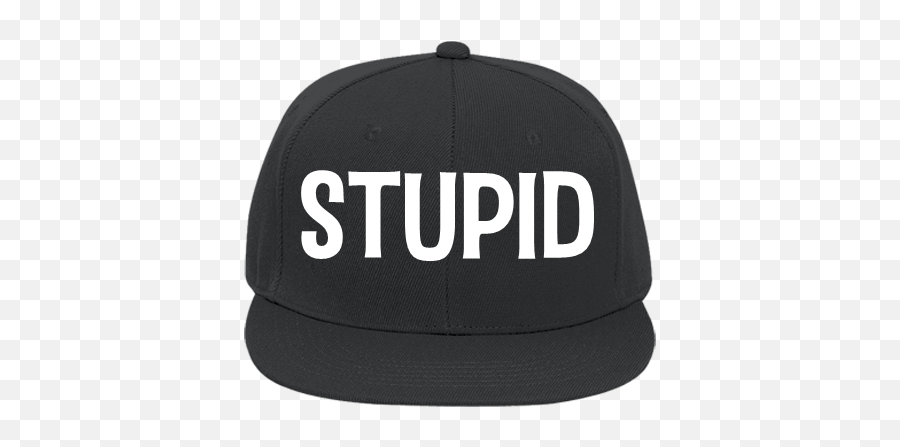 Stupid Hat Steve Flat Bill - Dumb Hat Transparent Background Png,Stupid Png