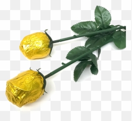 Download Hd Gold Foiled Belgian - Rose Chocolate Png