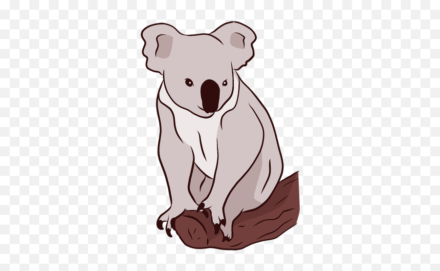 Ear Koala Leg Nose Branch Illustration - Koala Png,Koala Transparent