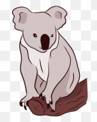 Ear Koala Leg Nose Branch Illustration - Koala Png,Koala Transparent