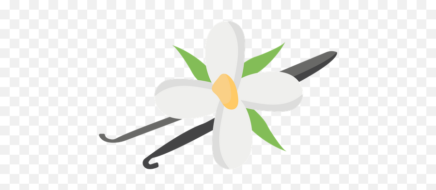 Vanilla Flower Icon Of Flat Style - Vanilla Flower Icon Png,Vanilla Png