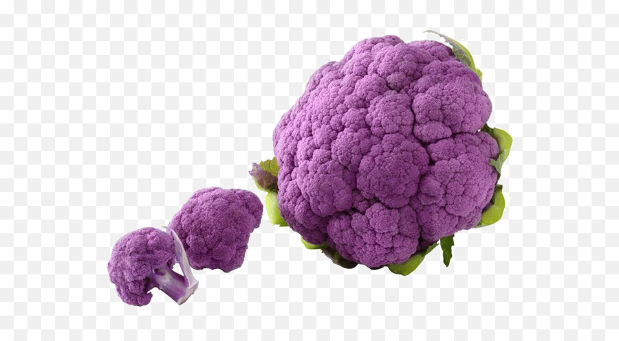Cauliflower Png Clipart Background - Cauliflower Purple,Cauliflower Png