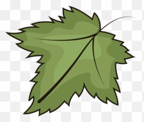 Leaf Clipart Free Download Transparent Png Creazilla - Clipart