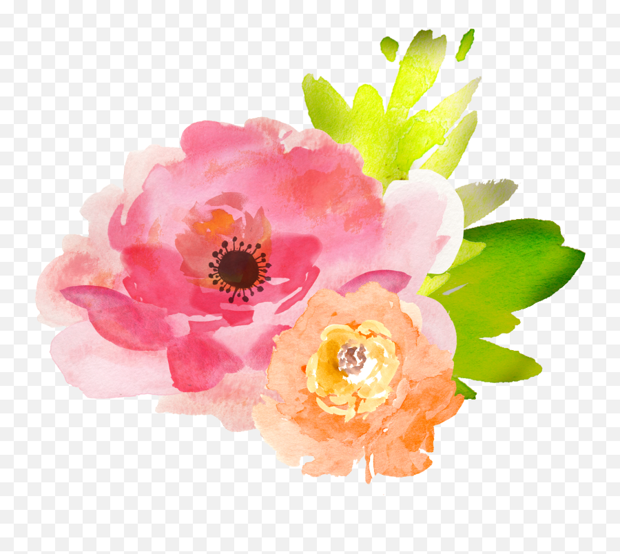 Watercolor Peonies Png Picture - Watercolor Free Flower Clipart,Peonies Png